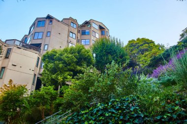 Sarmaşık ve tepede çiçekli çalılar büyük apartman binasına bakıyor.