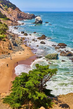 Kumlu sahile bakan selvi ağacının görüntüsü. Kayalık kıyı şeridi boyunca dalgaların yanında insanlar var.