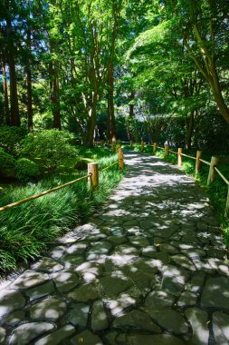 Bambu tırabzanlar ve güneş ışığı taştan yola saçılmış kaldırım taşı izleri.