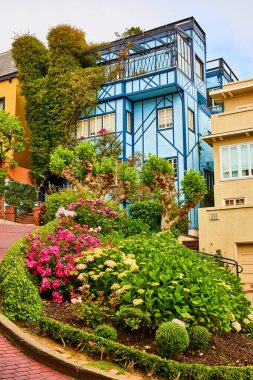 Lombard Caddesi tepesindeki mavi evi ve iki sarı evi olan renkli bitkilerin görüntüsü.