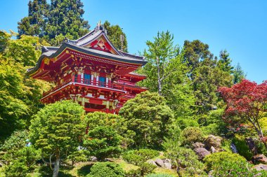 Japon Çay Bahçesi 'ndeki kırmızı pagoda resmi. Parlak mavi gökyüzünün altındaki ağaçlarla çevrili.