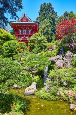 Japon Çay Bahçesi 'ndeki kırmızı pagoda resmi. Parlak bir yaz günü. Ağaçların arkasında açık mavi gökyüzü.