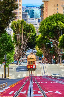 Fishermans Wharf Tramvayı 'nın görüntüsü. San Francisco caddesinde tepede çınar ağaçlarıyla kaplı.