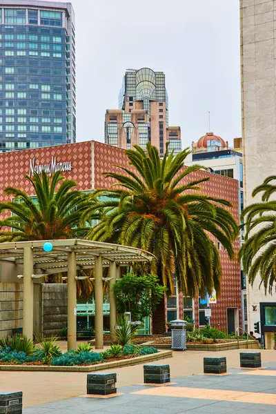 San Francisco, CA 'da bulutlu bir günde palmiye ağaçları olan Turistik Birlik Meydanı şehir görüntüsü