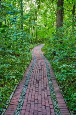 Ağaçların arasından geçen kırmızı tuğlalı yeşil ormanın görüntüsü. İçi çakıl dolu nehir, fantezi, büyülü.