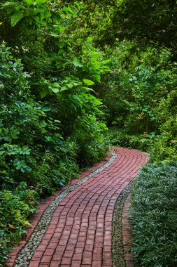 Ormanda kırmızı tuğla yolu olan yemyeşil orman görüntüsü. İçi çakıl dolu nehir, fantezi, büyülü.