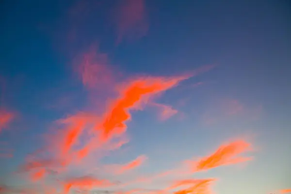インディアナ州フォートウェイン上空を魅了 ピンクとオレンジ色の息をのむようなディスプレイ 黄金の時間にウィスピー雲を照らす — ストック写真