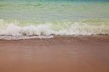 Sakin kıyı suları, kumlu bir sahili nazikçe okşayarak, el değmemiş doğal güzelliğin huzurlu bir sahnesini oluşturuyor. Seyahat, sağlık ve çevre konuları için mükemmel..