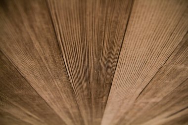 Doğal, işlenmemiş, büyüleyici ahşap kaplama karmaşık desenler ve dokular. Doğadan esinlenilmiş tasarımlar ve sürdürülebilir projeler için çok yönlü görüntü. Ann Arbor, Michigan.