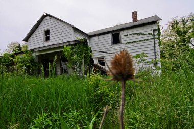 Huntington, Indiana 'da terk edilmiş iki katlı bir evin cazibesi. Doğa, aşırı büyümüş yeşilliğin eskimiş beyaz kaplamaları, kırık camları ve sarkık çatıyı çevrelediği gibi devraldı..