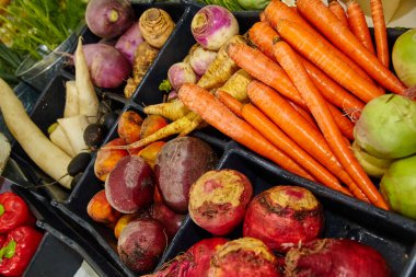 Canlı havuç, pancar kökü ve yaban havucu taze, organik sebzelerden oluşan renkli bir karışım yaratır. Sağlıklı bir yaşam tarzı ve besleyici bir yemek için mükemmel..
