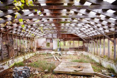 Doğa, Bicentennial Acres, Fort Wayne 'de terk edilmiş bir ahşap yapıyı geri istiyor. Güneş ışığı çürüyen iç kısımları aydınlatırken sarmaşıklar kırıklarla süzülüyor, kentsel bozulma ve çürüme temalarını anımsatıyor.