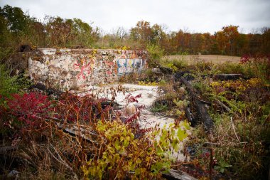 Doğa Şehir Çürümesini Geri Aldı: İki Yüzüncü Yıl Alanı, Fort Wayne. Canlı graffiti, sonbahar yaprakları arasında terk edilmiş beton yapıya renk katar, insan yapılarının geçici doğasını sembolize eder.