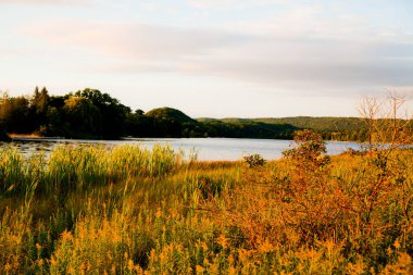 Empire, Michigan 'da sakin göl manzarası. Sakin sular, vahşi otlar sallanırken pastel gökyüzünü yansıtır kırsal doğanın dokunulmamış güzelliğini yakalar..