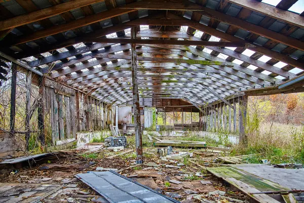 Φύση Ανακτά Έναν Εγκαταλελειμμένο Αχυρώνα Στο Bicentennial Acres Fort Wayne — Φωτογραφία Αρχείου