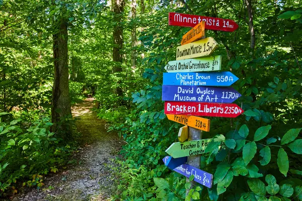 Vibrant multi-directional signpost in Muncie, Indiana forest trail, guiding towards various cultural and natural landmarks, 2023