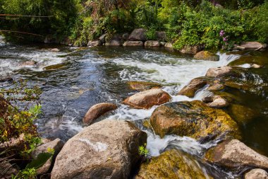 Vibrant River Akışı Elkharts Botanik Bahçeleri, Indiana - Yeşillik, Rocky Yatağı, Gün Işığı Dinginliği