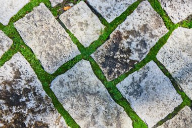 Indiana, Elkhart Botanik Bahçeleri 'ndeki eski taş patika. 2023' te yıpranmış taşlar ve canlı yeşil çimlerle harmanlanmış doğal yapılar sergileniyor..