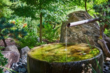 Elkhart Indiana Botanik Bahçeleri 'ndeki huzurlu Japon bahçesi. Geleneksel tsukubai su çeşmesi, canlı Japon akçaağacı ve mavi renkli kozalaklı 2023.