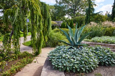 Lush Botanik Bahçesindeki Agave Bitkisi, Elkhart Indiana - Huzurlu Yeşil Vaha Serene Garden Yolu ve Benç