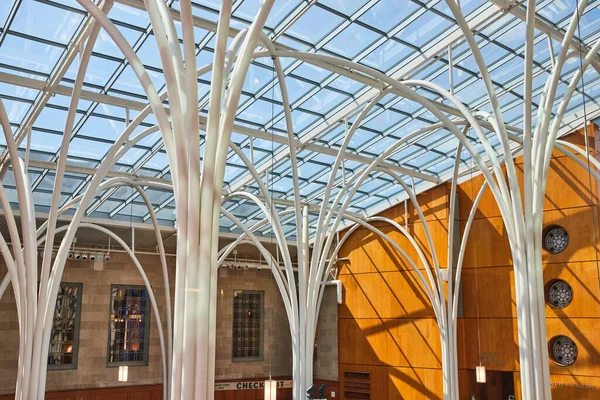 Interior de la biblioteca moderna inspirada en la naturaleza en