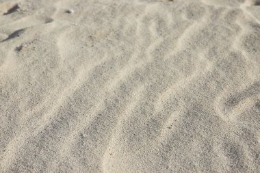 Cennet Adası, Nassau, Bahamalar 'daki kumlu araziye yakın çekim, doğal dalgalanma desenlerini ve dokularını gösteriyor.