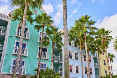 Nassau, Bahamalar 'daki çok katlı pastel binaların ve uzun palmiye ağaçlarının canlı tropikal sokak manzarası sahil cazibesi ve davetkar tatil atmosferi yayıyor.