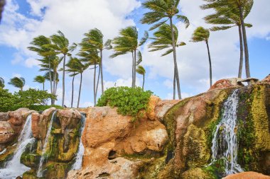 Tropikal Cennet 'te Palmiye Ağaçları ve Şelale, Nassau, Bahamalar