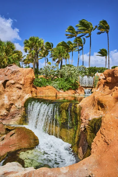 Tropical paradise with lush palm trees and cascading waterfall on Paradise Island, Nassau, Bahamas