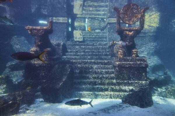 Underwater view of ancient, sunken statues surrounded by marine life in a mysterious ocean realm near Paradise Island, Bahamas