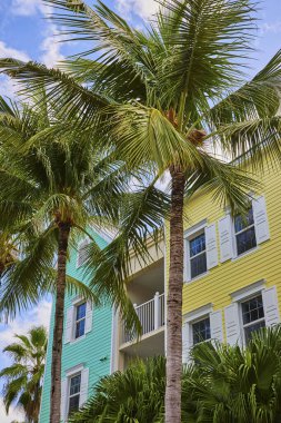 Nassau, Bahamalar 'da güneşli mavi gökyüzünün altında canlı, pastel renkli bir bina çerçeveleyen gür palmiye ağaçları, sakin bir tropikal yaşam tarzını çağrıştırıyor..