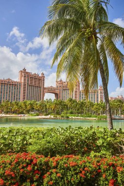 Nassau, Bahamalar 'daki Tropik Lüks Tatil Köyü. Canlı Çiçekler ve Huzur Gölü.