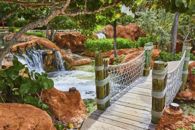 Nassau 'daki Tropik Bahçe Vaha' sı, Tranquil Şelalesi üzerindeki Rustik Tahta Askı Köprüsü