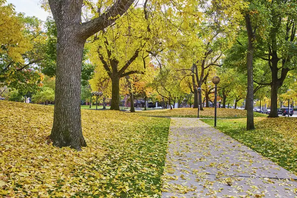 Serene autumn scene in a downtown Fort Wayne park, Indiana, showcasing a vibrant fall pathway lined with golden leaves and urban life hints.
