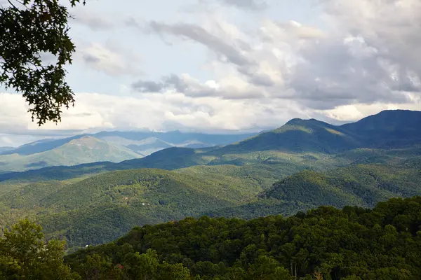 Serene Summer Day in the Smoky Mountains, Tennessee - Lush Greenery, Rolling Peaks, and Hidden Habitats