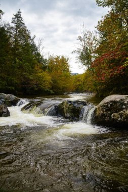 2015 'te Gatlinburg, Tennessee' de sonbahar yaprakları arasında kayaların üzerinden sakin bir akıntıya akan sakin şelale.