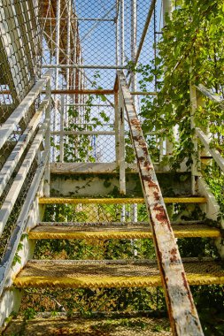 Indiana 'daki terk edilmiş eğlence parkında solmuş sarı merdiven paslanmış ve aşırı büyümüş çürümeyi ve doğayı sembolize ediyor..