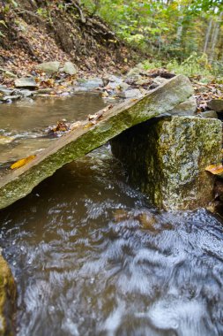 Salamonie Nehri Eyalet Ormanı 'ndaki Woodland Stream üzerindeki Mossy Stone Köprüsü' nün Sakin Sonbahar Sahnesi