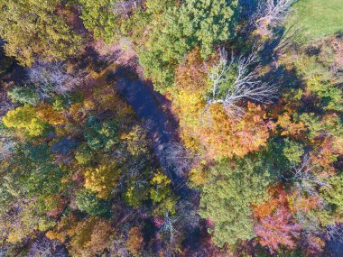 Hathaway Preserve, Indiana 'da Güz Ormanı' nın Uçan Nehir Manzarası