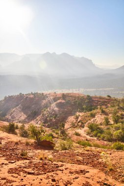 Altın Saat Katedral Kayası, Sedona - Erotik Kızıl Kayaların Görkemli Manzarası ve Resilient Flora, 2016