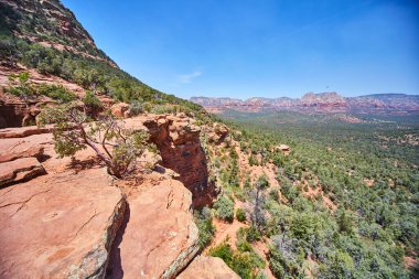 Sedona 'daki Arizonas Devils Köprüsü' nün gündüz panoramasında engebeli çöl manzarası, canlı kırmızı kaya oluşumları ve dayanıklı, yalnız bir ağaç sergilenmektedir..