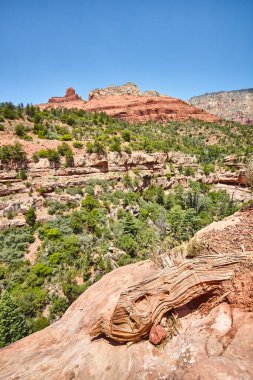 Sedonas kırmızı kaya oluşumlarının büyüleyici mavi gökyüzü altında nefes kesici görüntüsü, Arizona, 2016 'da doğal direnç