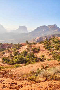 Sedona, Arizona 'daki Katedral Kayası' nın engebeli güzelliğini aydınlatan altın saat ışığı, 2016 'da doğal bitki örtüsüyle süslenmiş sakin bir çöl manzarasını gözler önüne seriyor.