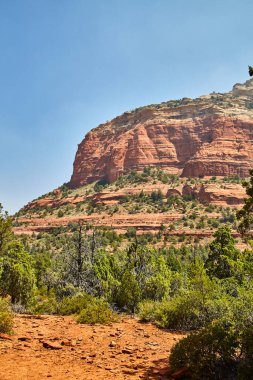 Şeytani Köprü 'de Güneşli Gün, Sedona, Arizona - Canlı Kırmızı Kum Taşı oluşumları ve Çöl Bitkileri