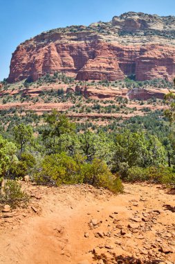 Sedona, Arizona 'daki Devils Köprüsü' nün nefes kesici gündüz görüntüsü canlı kırmızı kaya oluşumunu, çöl bitkisini ve açık mavi gökyüzünü gözler önüne seriyor..