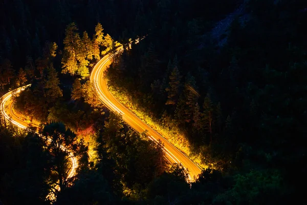 Long Exposure Winding Road Dense Forest Sedona Arizona Starry Night — Stock Photo, Image