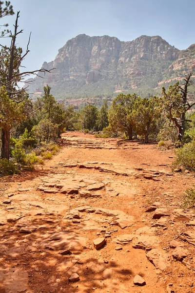 Sedonas Devils Bridge Hiking Trail Stunning Red Rock Formations Clear — Stock Photo, Image
