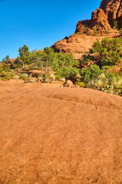 Bell Rock, Sedona, Arizona 'nın engebeli, kırmızımsı kahverengi arazisinin gündüz manzarası, açık mavi gökyüzünün altında yeşil çalılar kontrastı ekliyor - 2016