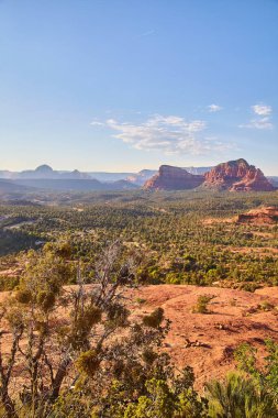 2016 'da Sedona, Arizona' daki Bell Rock 'ta öğleden sonra geç saatlere doğru parlayarak, dayanıklı çöl yaprakları arasında kırmızı kumtaşı oluşumlarının engebeli güzelliğini vurguluyor..