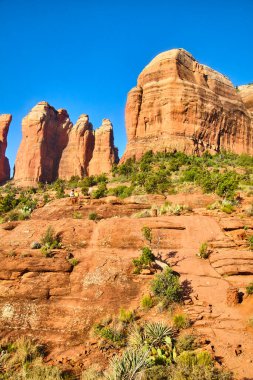2016 'da Katedral Kayası, Sedona, Arizona' yı keşfeden yürüyüşçüler açık mavi gökyüzü altında yüksek kum taşı oluşumları ve dayanıklı çöl bitkileri arasında.